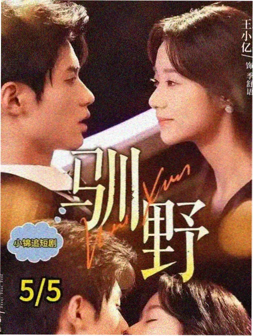 魅影声轨重制版本封面